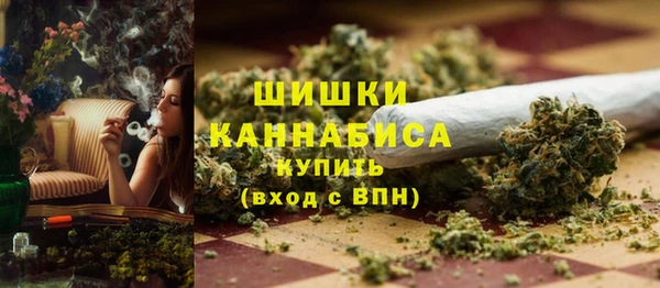 спиды Новодвинск