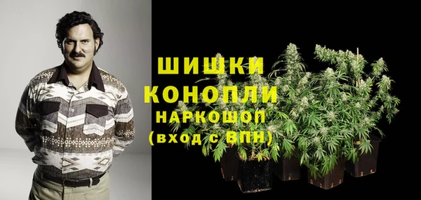 крисы Новокубанск