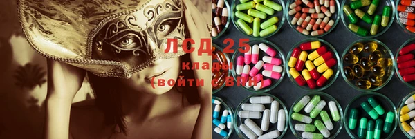 крисы Новокубанск