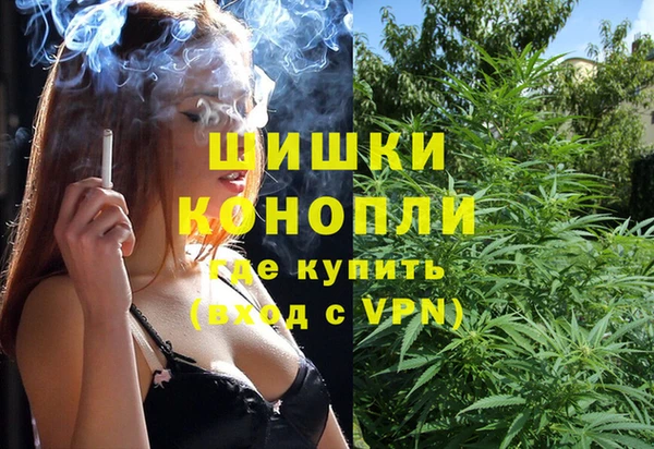 крисы Новокубанск