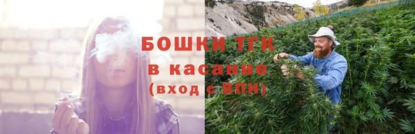 таблы Тавда